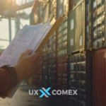 declaração única de exportação